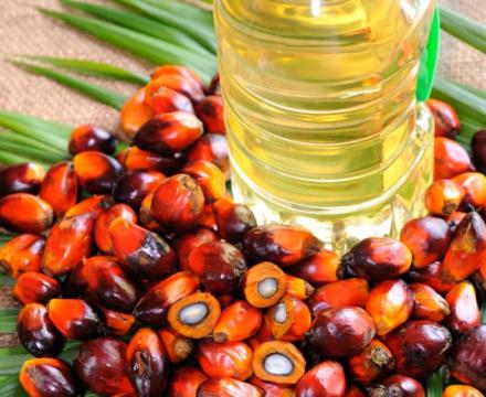 Red Palm Oil